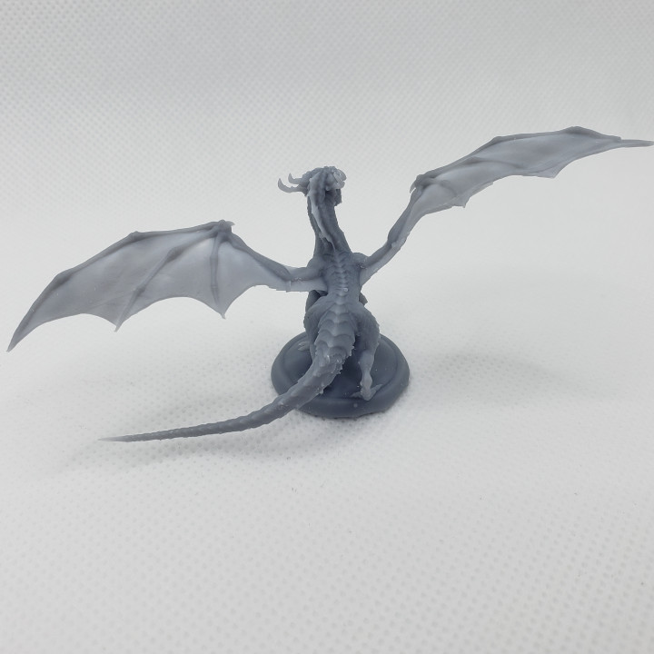Baby Dragon - Image 4