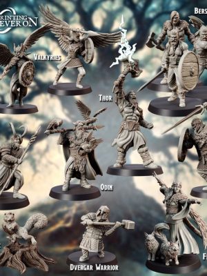 Character Bundle - Asgard Amusement