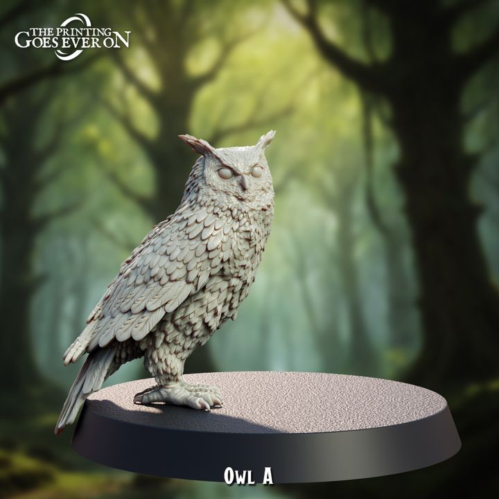 Heart of the Forest - July 2024 - Image 10