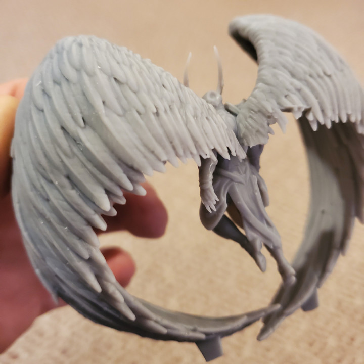 Angel fighter - Image 26