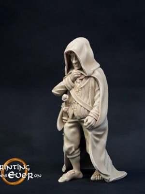 Falco in Mona'Firth - Halfling