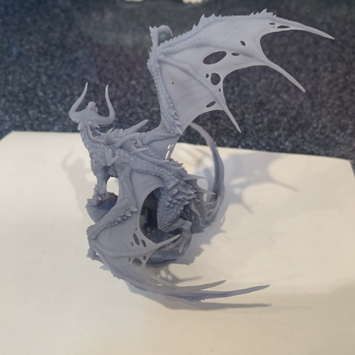 Dark Dragon - Image 12