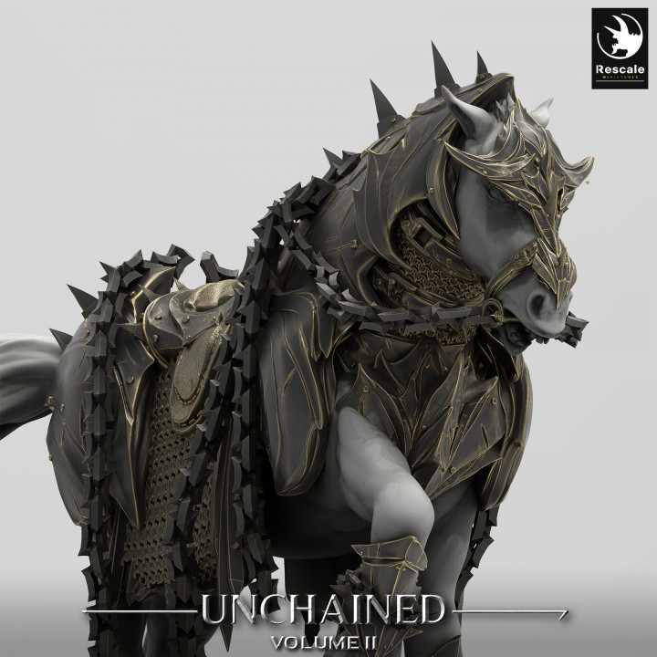 Unchained Horse Walk - Image 8