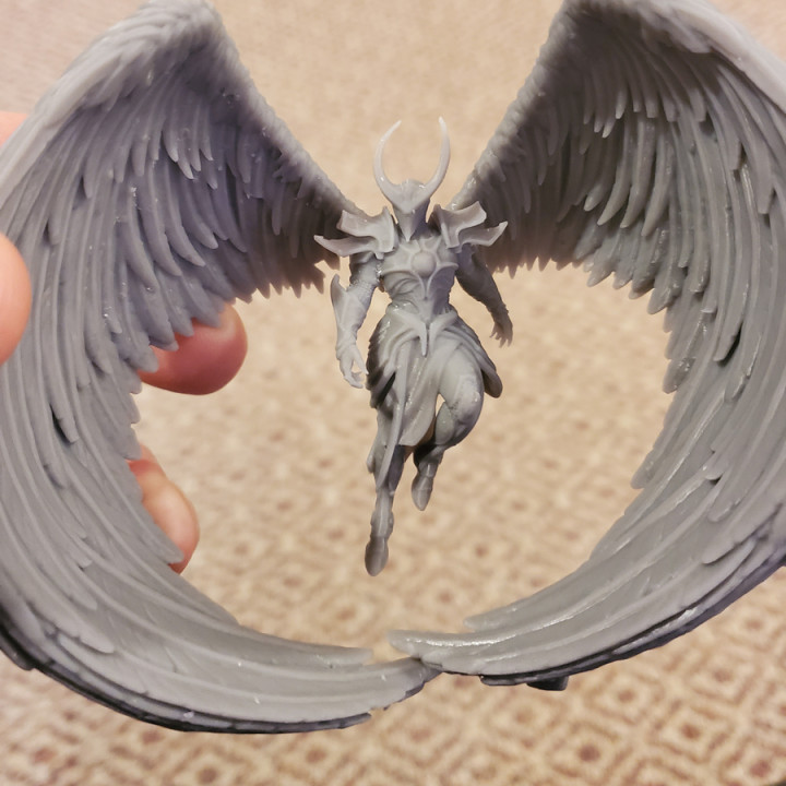 Angel fighter - Image 24