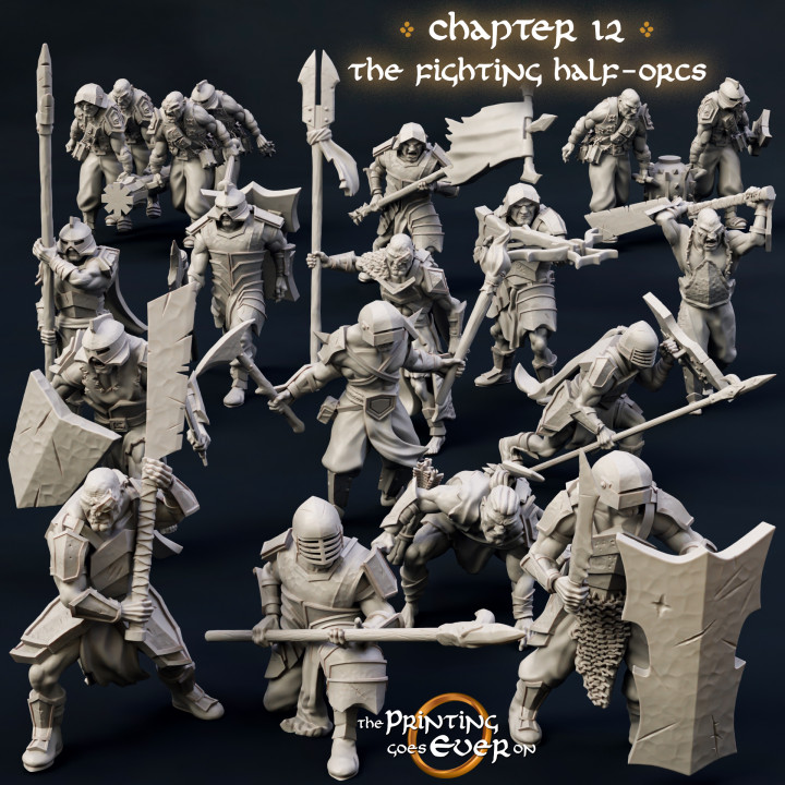 Chapter 12 - The Fighting Half-Orcs- Customized Requests - Image 13